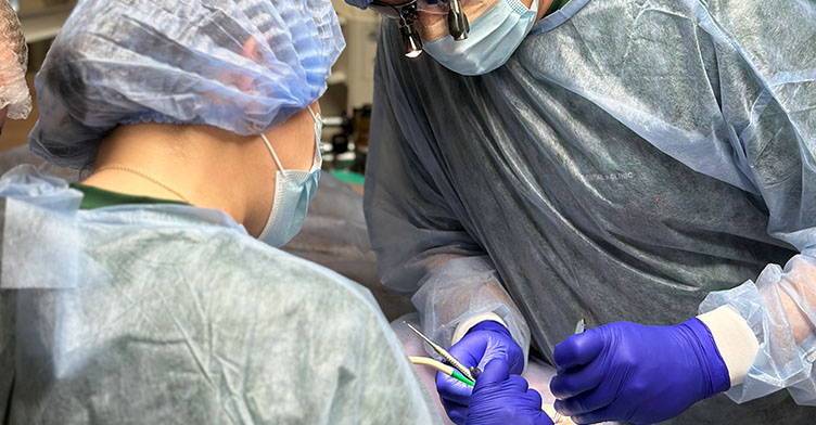 Відновлення зуба (тимчасове або постійне)